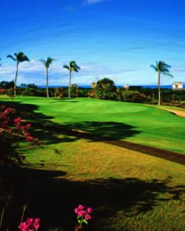 Kaanapali Kai #13