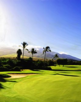 Kaanapali Kai #16