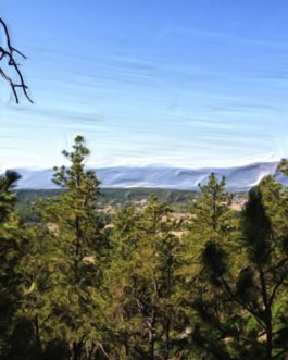 Ponderosa Pikes Peak