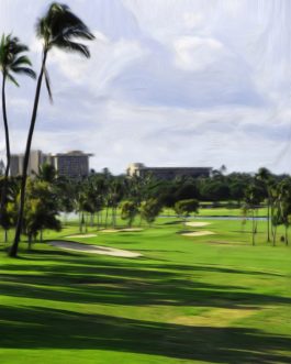 Kaanapali Royal #16