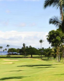 Kaanapali Royal #3