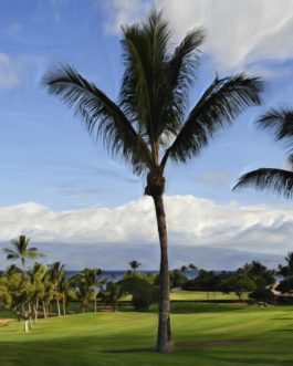 Kaanapali Royal #6