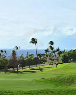 Kaanapali Royal #8