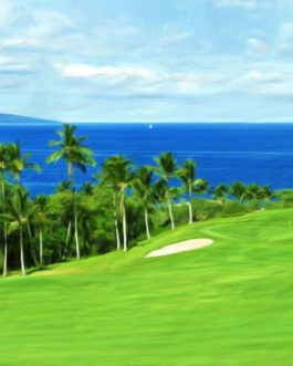 Wailea Emerald #1