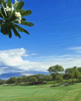 Wailea Emerald #15a