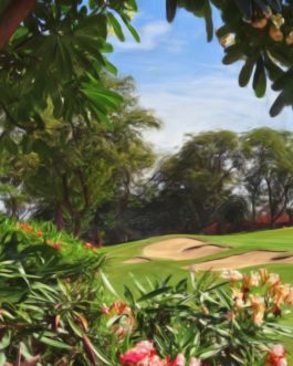 Wailea Emerald #16