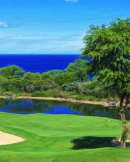 Wailea Emerald #17