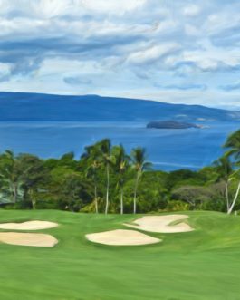 Wailea Emerald #18