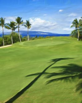 Wailea Emerald #1a