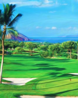 Wailea Gold #9