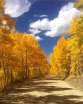 Aspen Changing Color Path