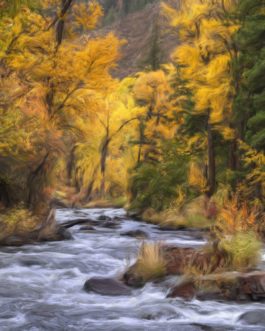 Colorado Stream & Fall Colors